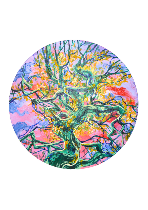 Through the Trees by Amy Loizou