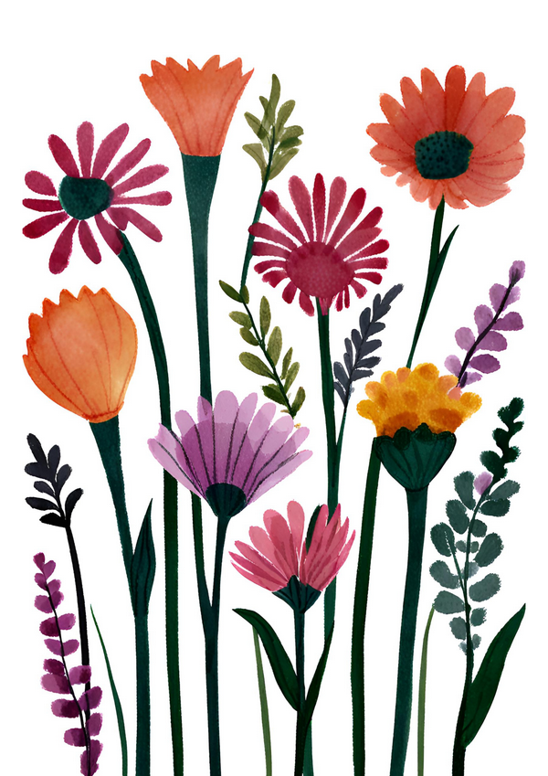 Wild Flower Wonders