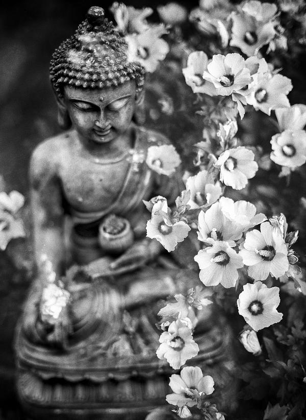 Black and white buddha