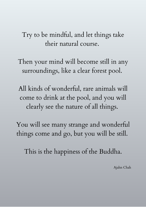 Ajahn Chah - Let Things Take Their Natural Course