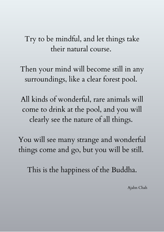 Wisdom from Ajahn Chan. The text reads 'Try to be mindful and let things take their natural course. Then your mind will become still in any surroundings, like a clear forest pool. All kinds of wonderful, rare animals will come to drink at the pool, and you will clearly see the nature of all things. You will see many strange and wonderful things come and go, but you will be still. This is the happiness of the Buddha.' the text is set against a view of a Thai temple, surrounded by peaceful greenery. Ajahn Chah was a renowned Thai Buddhist monk who played a pivotal role in spreading Theravada Buddhism and the Thai Forest Tradition, emphasizing simplicity, meditation, and mindful living. Known for his clear and relatable teachings, Ajahn Chah used real-life analogies and humor to convey profound Buddhist principles such as impermanence, non-attachment, and mindfulness. His legacy continues to inspire practitioners worldwide.
