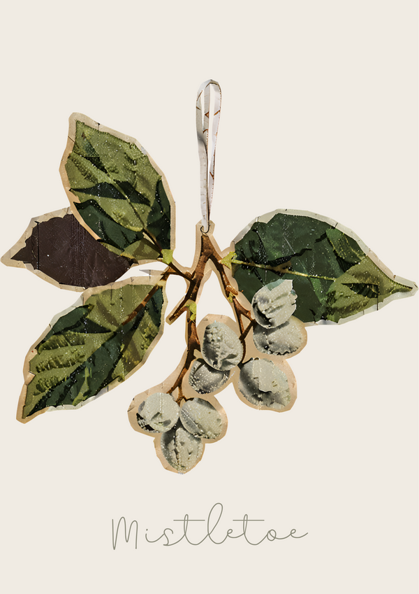 Festive Mistletoe print in a scrapbook style. The design features a delicate sprig of mistletoe with soft green leaves and clusters of white berries held up by a white ribbon. Timeless, heart warming and sure to elevate Christmas décor.